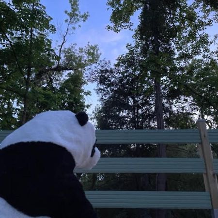 La cabane du Panda Abrest Extérieur photo