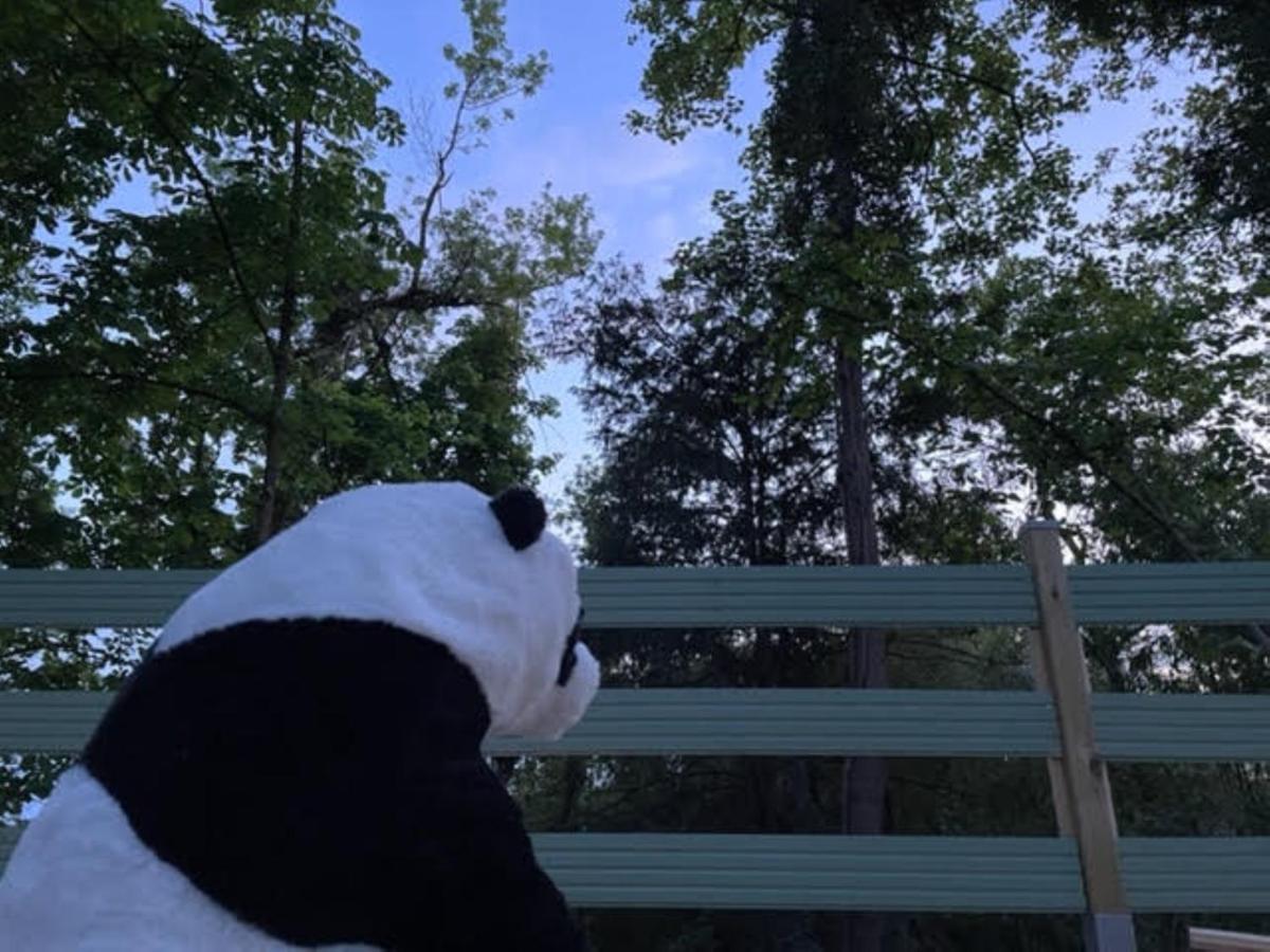 La cabane du Panda Abrest Extérieur photo